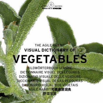 agile rabbit visual dictionary of vegetables