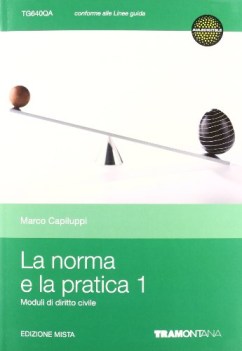 norma e la pratica 1 (640) diritto,economia,finanze