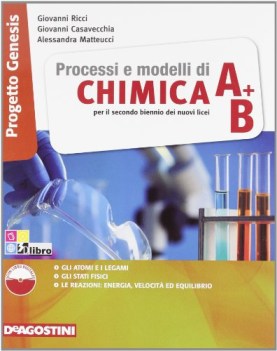 processi e modelli di chimica a+b scienze licei e mag.