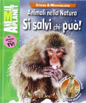 animali nella natura. si salvi chi puo\'