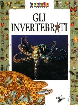 invertebrati