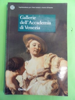 gallerie dell\'accademia di venezia