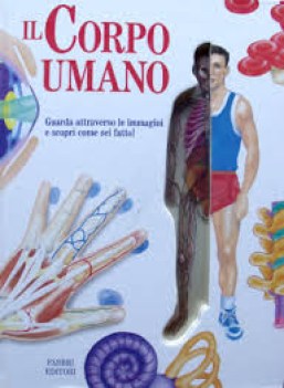 corpo umano