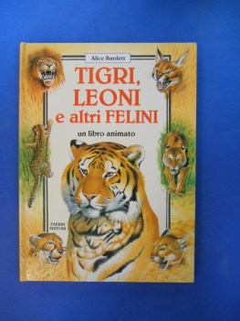 tigri leoni e altri felini