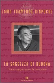 saggezza di buddha