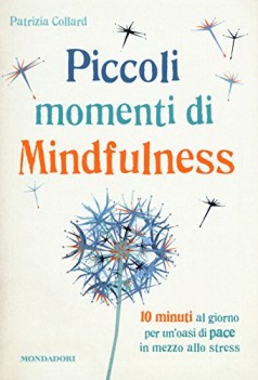 piccoli momenti di mindfulness 10 minuti al giorno per un oasi di pace in mezzo