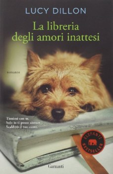 libreria degli amori inattesi