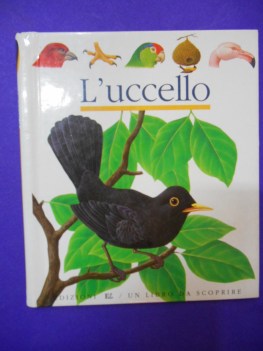 uccello