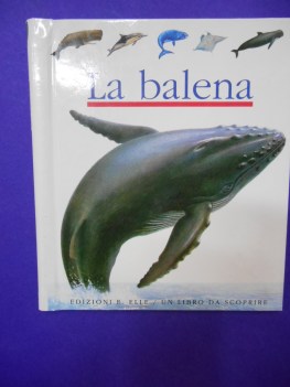 balena