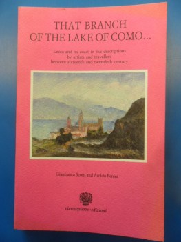 branch of the lake of como lecco and its coast