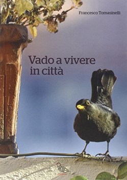 vado a vivere in citta