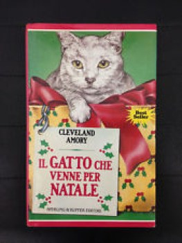 gatto che venne per natale