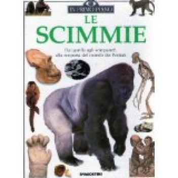 scimmie