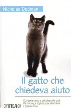 gatto che chiedeva aiuto