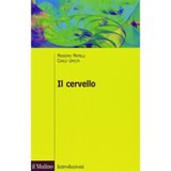 cervello anatomia e funzione del sistema nervoso centrale