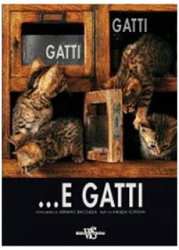 gatti gatti e gatti