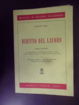 diritto del lavoro terza edizione