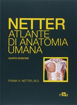 netter atlante di anatomia umana