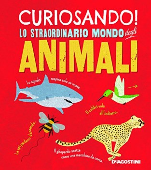 curiosando lo straordinario mondo degli animali ediz. a colori