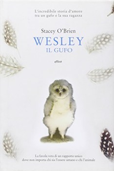 wesley il gufo