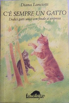 c\'e\' sempre un gatto dodici gatti unici con finale a sorpresa