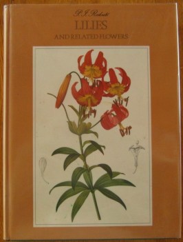 lilies and other related flowers