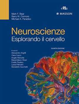 neuroscienze esplorando il cervello