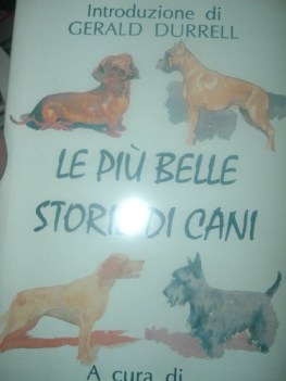 piu belle storie di cani