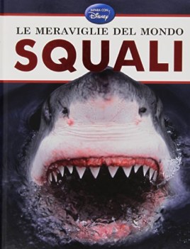 meraviglie del mondo squali