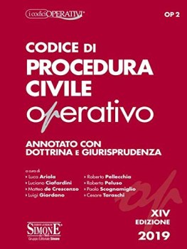 codice di procedura civile operativo