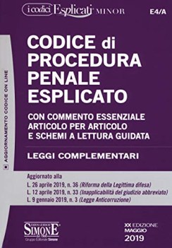 codice di procedura penale esplicato con commento essenziale articolo