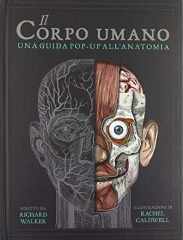 corpo umano una guida pop-up all\'anatomia