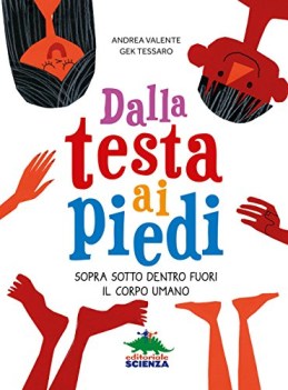 dalla testa ai piedi sopra sotto dentro fuori il corpo umano