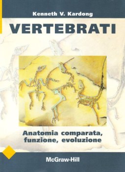 vertebrati anatomia comparata funzione evoluzione