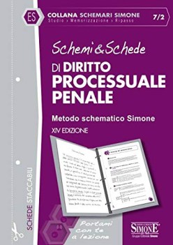 schemi  schede di diritto processuale penale