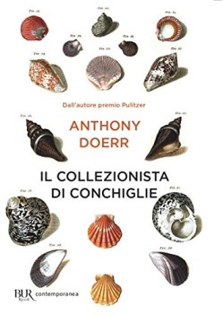 collezionista di conchiglie