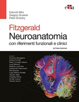 fitzgerald neuroanatomia con riferimenti funzionali e clinici