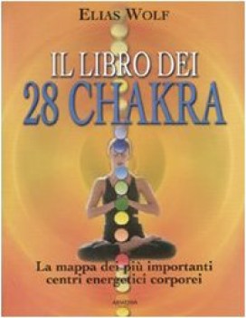 libro dei 28 chakra la mappa dei pi importanti centri energetici