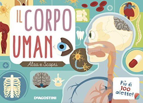 corpo umano alza e scopri ediz. a colori