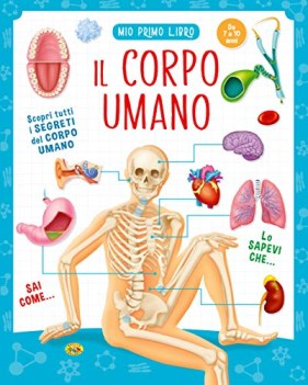 corpo umano