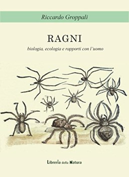 ragni biologia ecologia e rapporti con luomo