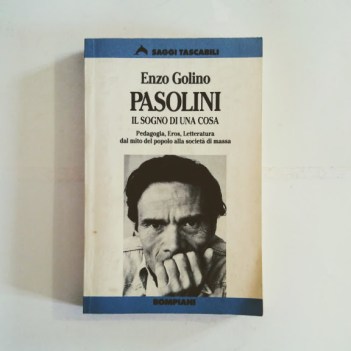 pasolini il sogno di una cosa