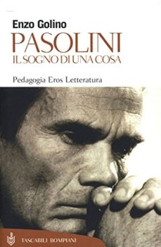 pasolini il sogno di una cosa