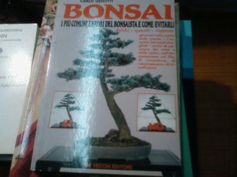 bonsai i pi comuni errori del bonsaista e come evitarli dubbi que