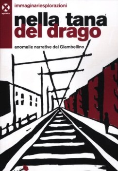 nella tana del drago anomalie narrative del giambellino