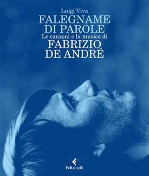 falegname di parole le canzoni e la musica di fabrizio de andre