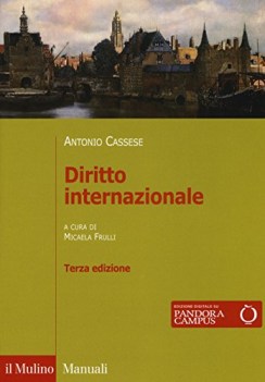 Diritto internazionale. 3ed