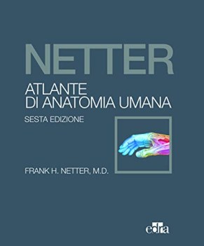 netter atlante di anatomia umana