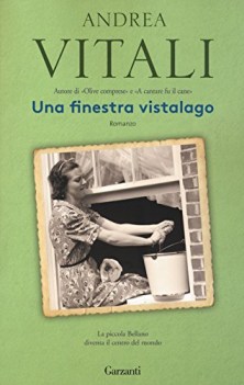 finestra vistalago