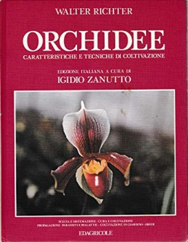 orchidee caratteristiche e tecniche di coltivazione